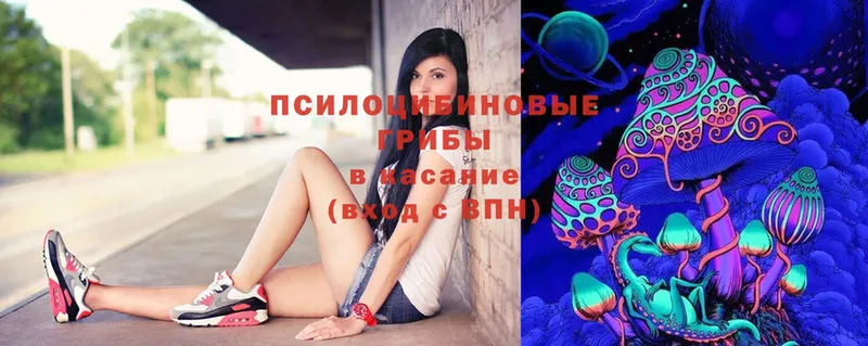 Псилоцибиновые грибы Psilocybe  дарнет шоп  Зарайск 